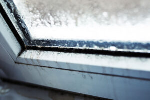 mold and fungus on the misted plastic window