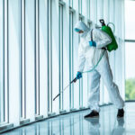 worker spraying for mold