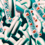 3d illustration of microscopic image of E. coli