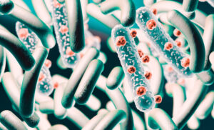 3d illustration of microscopic image of E. coli